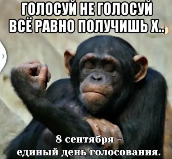 Голосуй не голосуй всё равно получишь
