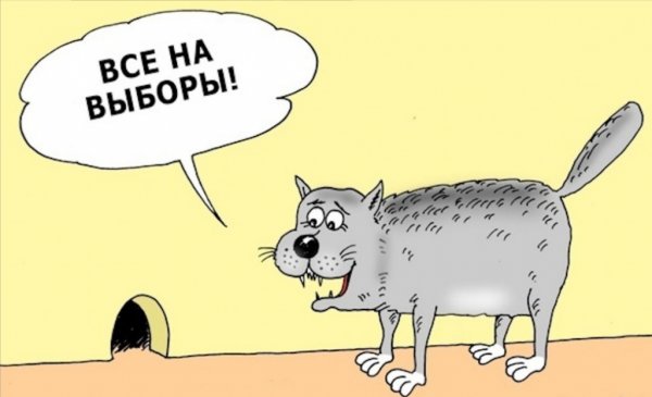 Выбор карикатура