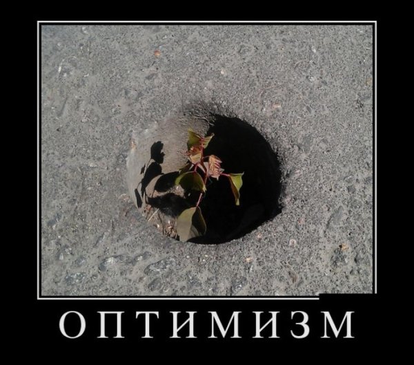 Открытки оптимистические прикольные