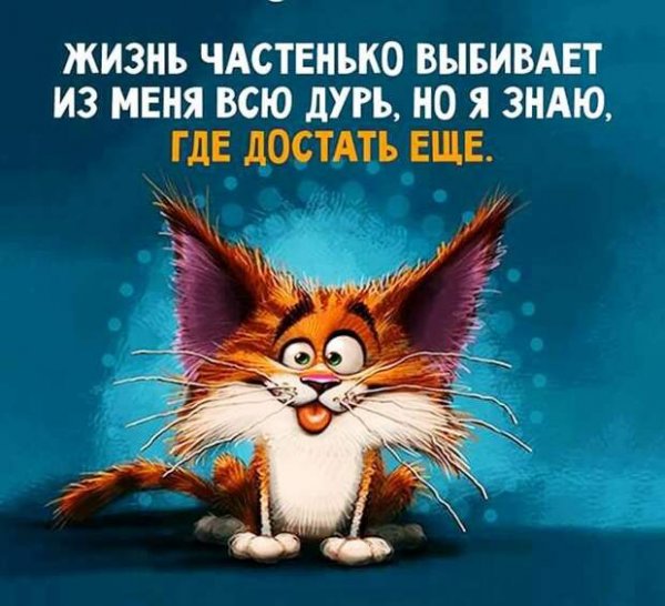 Оптимистичные цитаты