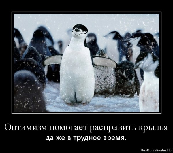 Демотиваторы оптимистичные