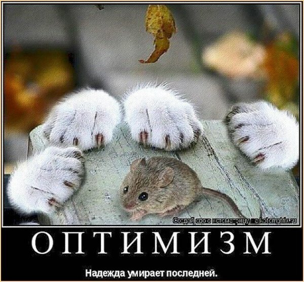 Надежда утомает последней