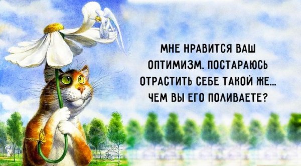 Высказывания про оптимизм