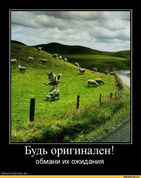 Оптимизм юмор