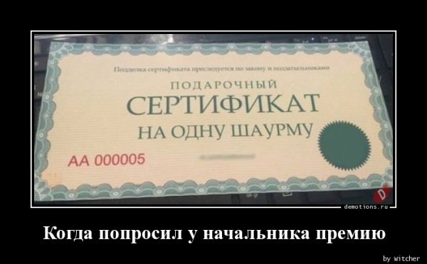 Сертификат на шаурму