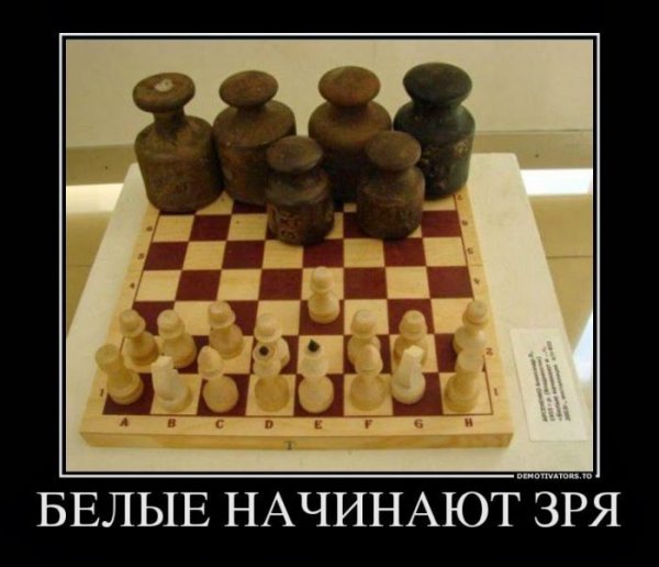 Шахматы демотиватор