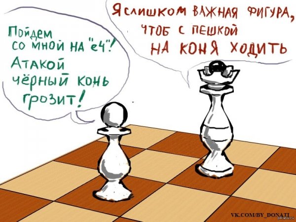 Шахматные шутки