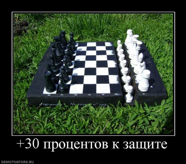 Шахматы приколы