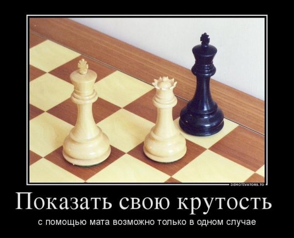 Шахматные приколы изображения