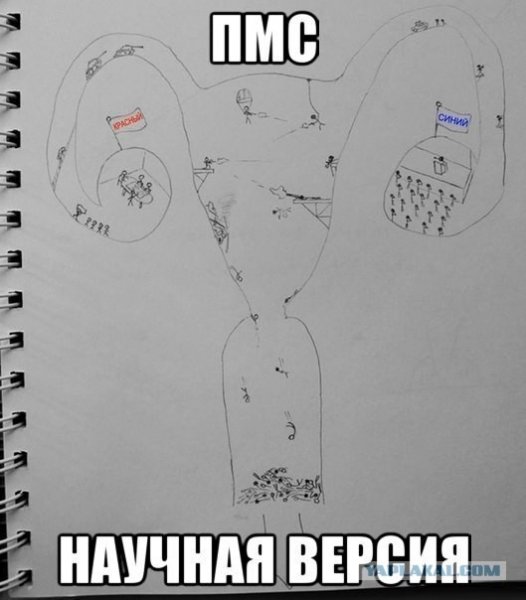 Шутки про ПМС У девушек