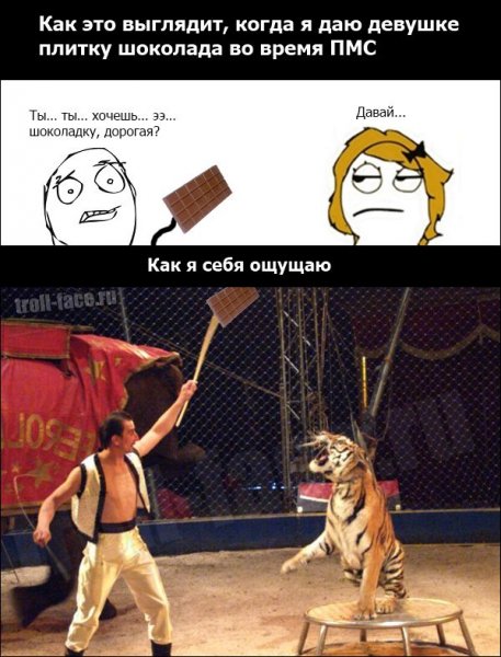 ПМС приколы картинки