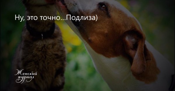 Подлиза зверь