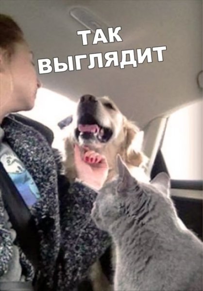 Ненавижу подлиз