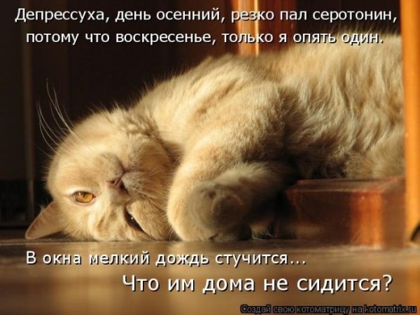 Грусть тоска с юмором