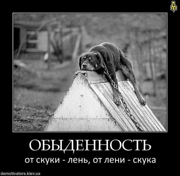 Смешные высказывания про скуку