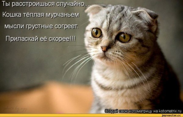 Грусть тоска