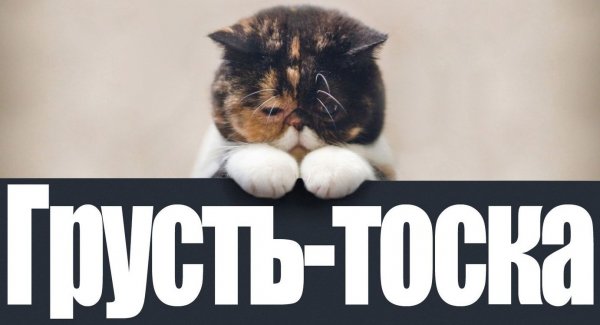 Грусть печаль тоска в картинках