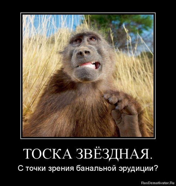 Смешные приколы про тоску