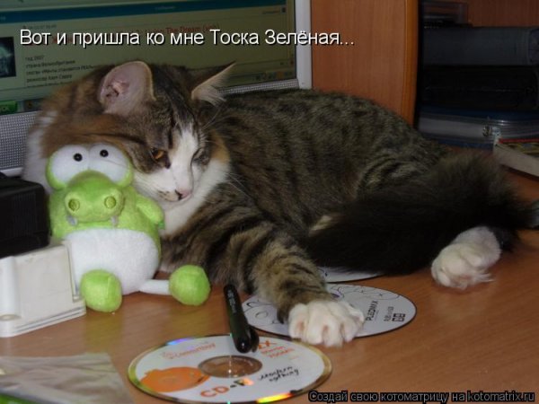 Тоска прикол
