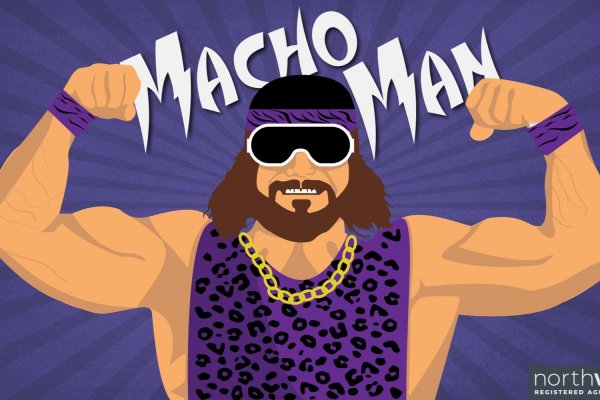 Randy Savage Spider man