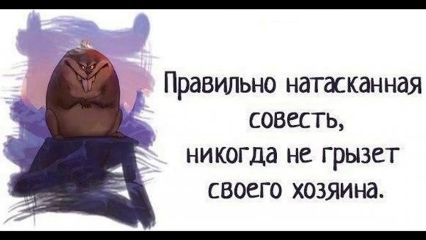 Шутки про совесть
