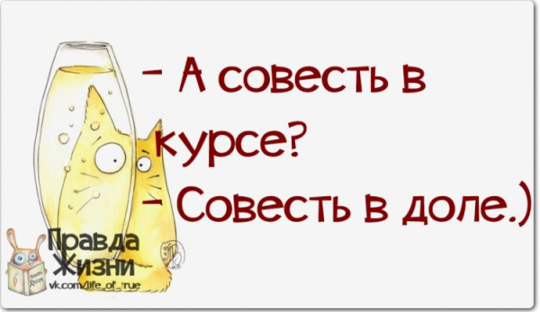 Смешные фразы про совесть