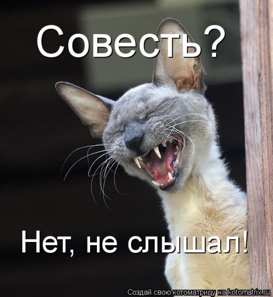 Шутки про совесть