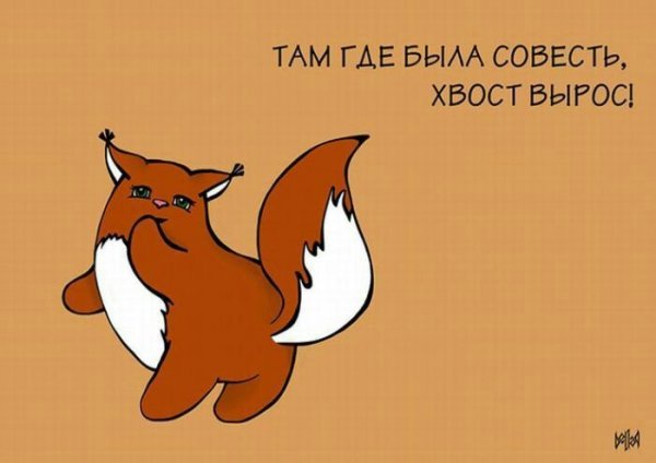 Смешная белка рисунок
