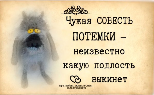 Смешные выражения про совесть