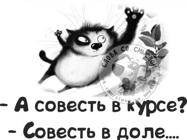 Совесть смешные картинки