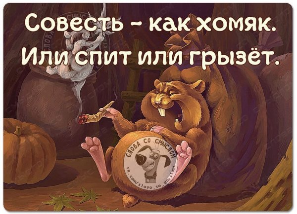 Совесть смешные картинки