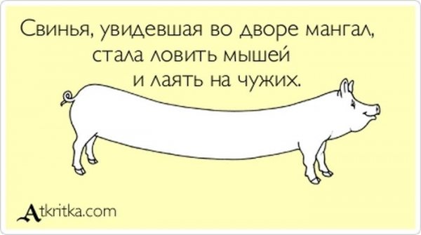 Фразы про бухгалтерию