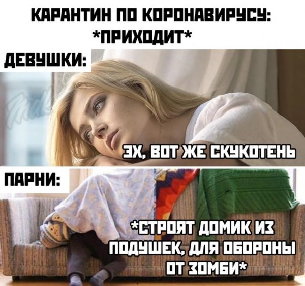 Приколы про карантин