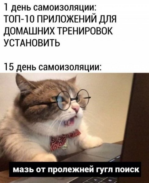 Карантин юмор