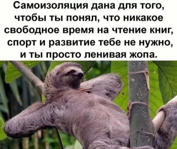 Самоизоляция дана для того чтобы
