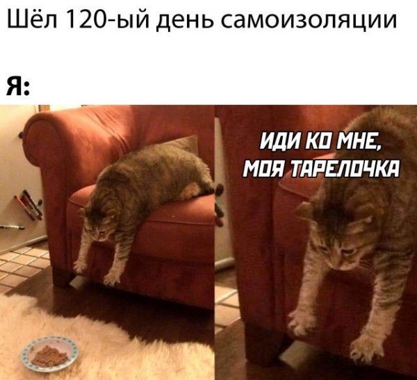 Самоизоляция картинки прикольные