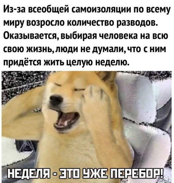 Стишок про карантин смешной