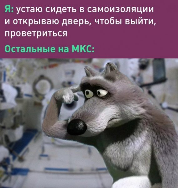 Юмор на тему самоизоляции