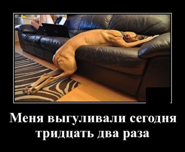 Самоизоляция демотиватор
