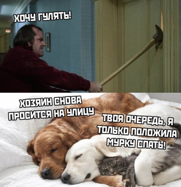 Прикольные мемы про карантин