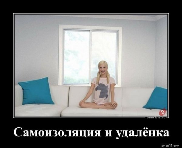 Демотиваторы про самоизоляцию смешные