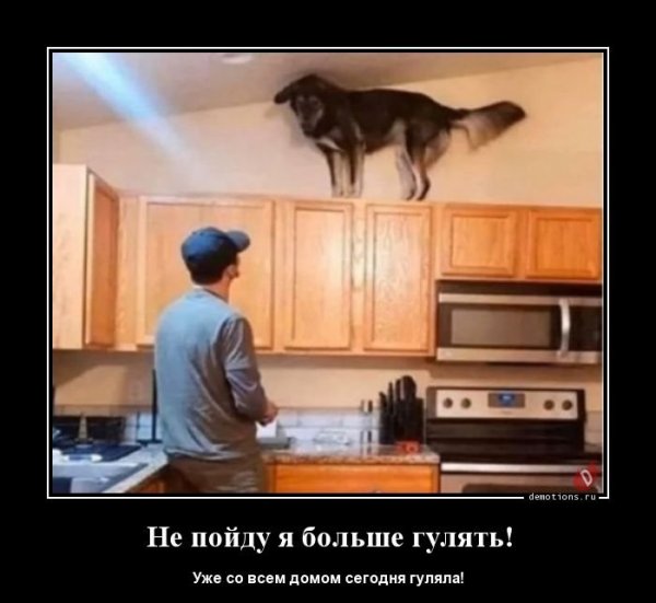 Демотиваторы про самоизоляцию смешные