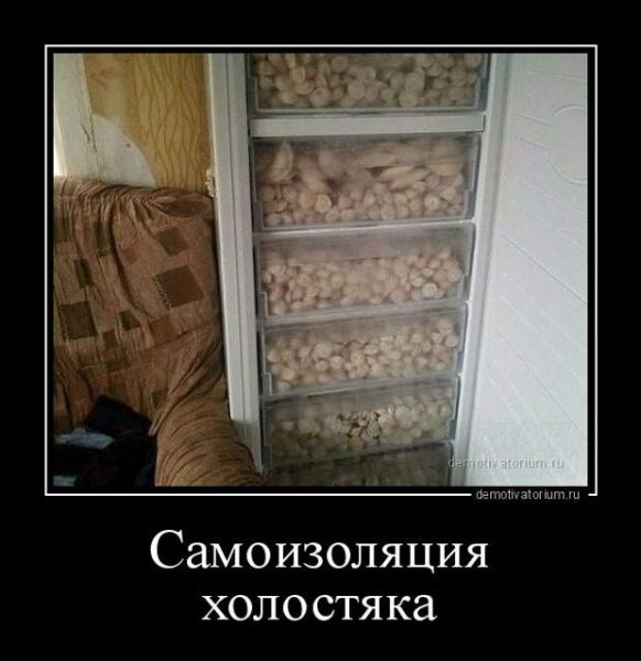 Демотиватор жена уехала