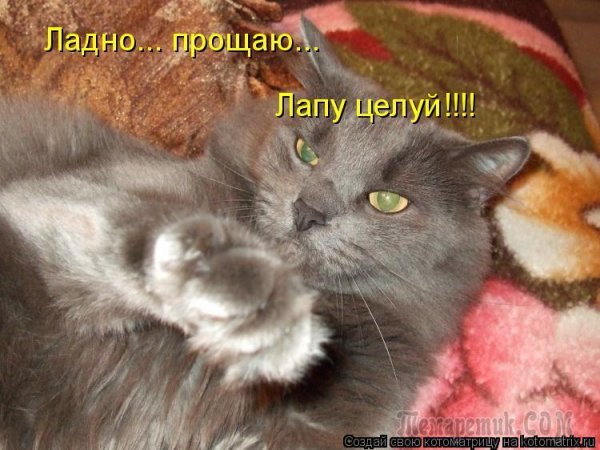 Я прощаю