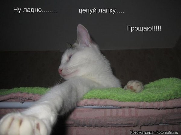 Ладно прощаю тебя