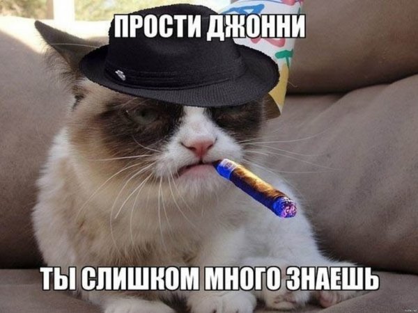Слишком много знал прикол