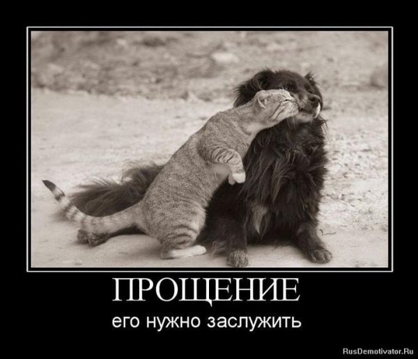 Прости демотиватор