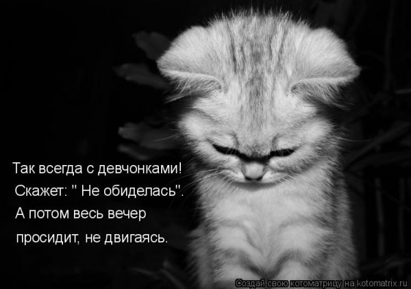 ПРДРУЗЬЯ проститеиеня