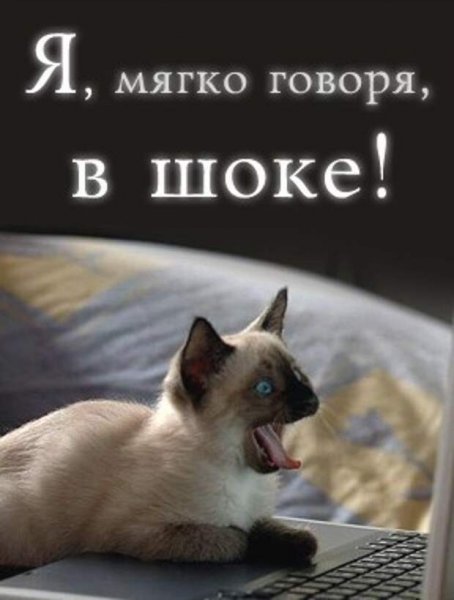 Я В шоке