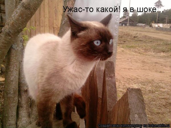Это кошмар какой-то
